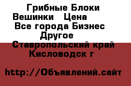 Грибные Блоки Вешинки › Цена ­ 100 - Все города Бизнес » Другое   . Ставропольский край,Кисловодск г.